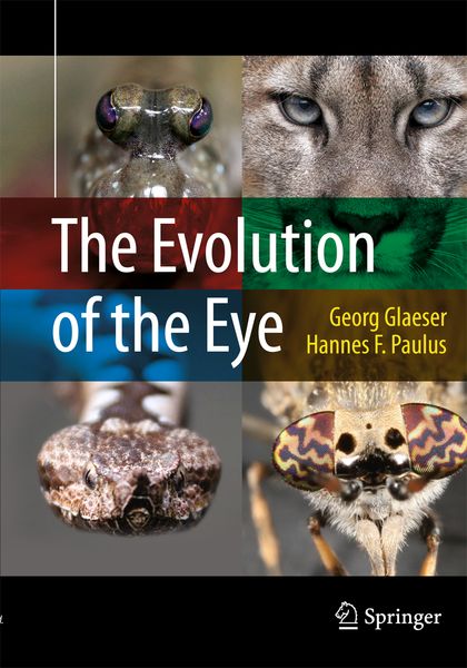Produktbild: The Evolution of the Eye