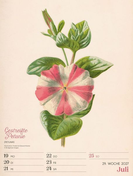 Produktbild: Ars Floralis Wochenplaner Kalender 2027