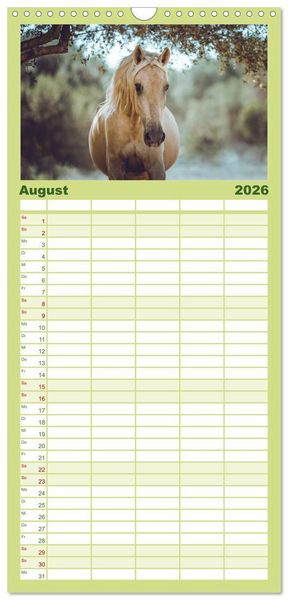 Produktbild: Familienplaner 2026 - Die Faszinierende Welt der Pferde mit 5 Spalten (Wandkalender, 21 x 45 cm) CALVENDO