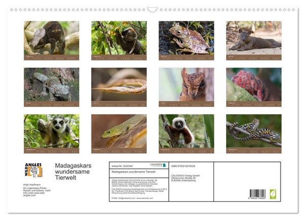 Produktbild: Madagaskars wundersame Tierwelt (Wandkalender 2026 DIN A2 quer), CALVENDO Monatskalender