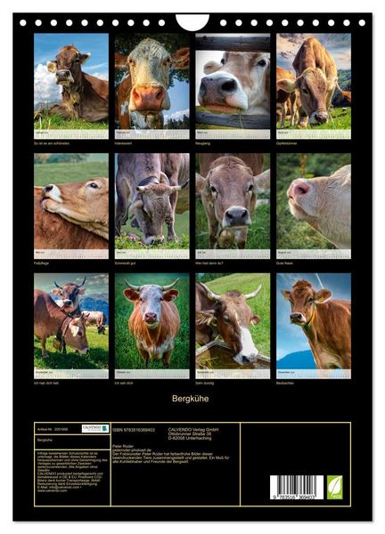 Produktbild: Bergk&uuml;he (Wandkalender 2026 DIN A4 hoch), CALVENDO Monatskalender