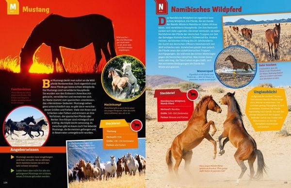 Produktbild: WAS IST WAS Pferde und Ponys