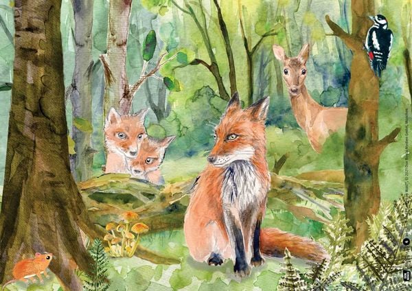 Produktbild: Tiere und Pflanzen im Wald. Kamishibai Bildkartenset