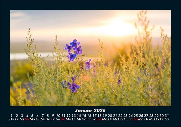 Produktbild: Blumenkalender 2026 Fotokalender DIN A5