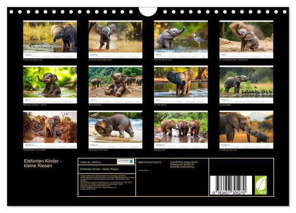 Produktbild: Elefanten Kinder - kleine Riesen (Wandkalender 2026 DIN A4 quer), CALVENDO Monatskalender