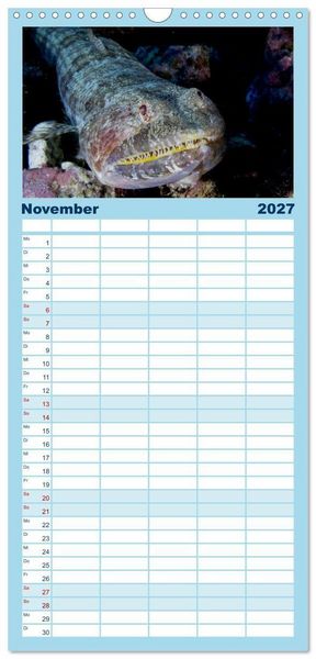 Produktbild: Familienplaner 2027 - Faszination blaue Unterwasserwelt mit 5 Spalten (Wandkalender, 21 x 45 cm) CALVENDO