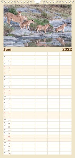 Produktbild: L&ouml;wen - Raubkatzen Afrikas - Familienplaner hoch (Wandkalender 2022 , 21 cm x 45 cm, hoch)