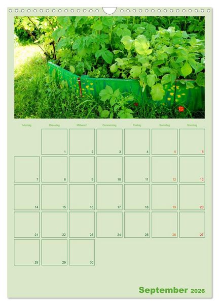 Produktbild: Gartenplaner (Wandkalender 2026 DIN A3 hoch), CALVENDO Monatskalender