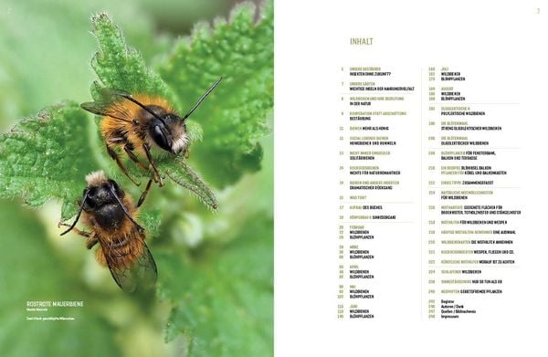 Produktbild: Wildbienenhelfer