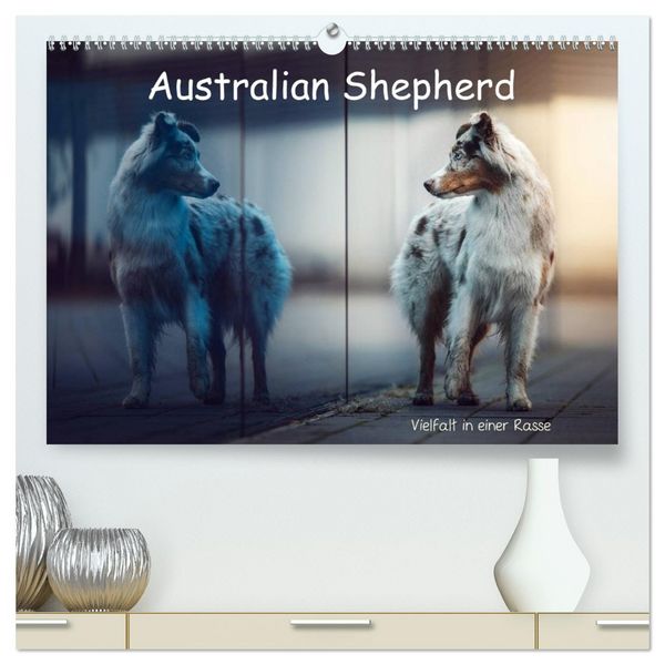 Produktbild: Australian Shepherd - Vielfalt in einer Rasse (hochwertiger Premium Wandkalender 2026 DIN A2 quer), Kunstdruck in Hochglanz