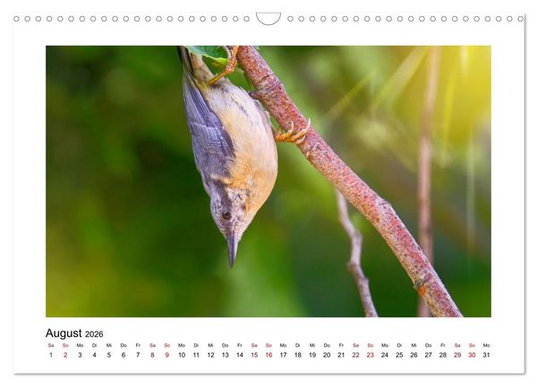 Produktbild: Flinke Kleiber (Wandkalender 2026 DIN A3 quer), CALVENDO Monatskalender