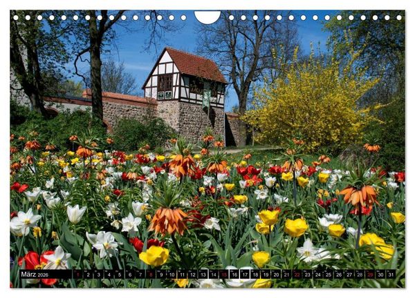 Produktbild: MEIN DEUTSCHLAND (Wandkalender 2026 DIN A4 quer), CALVENDO Monatskalender