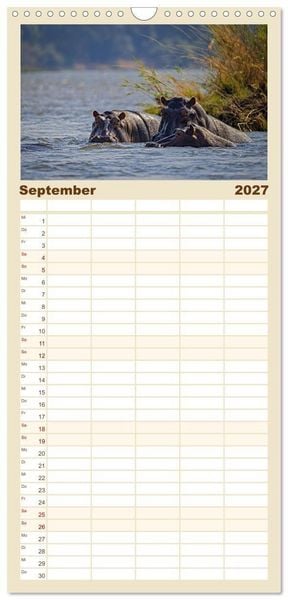 Produktbild: Familienplaner 2027 - Hippos - Gef&auml;hrliche Giganten mit 5 Spalten (Wandkalender, 21 x 45 cm) CALVENDO
