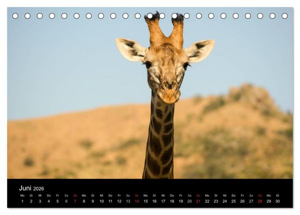 Produktbild: Faszinierendes S&uuml;dafrika (Tischkalender 2026 DIN A5 quer), CALVENDO Monatskalender