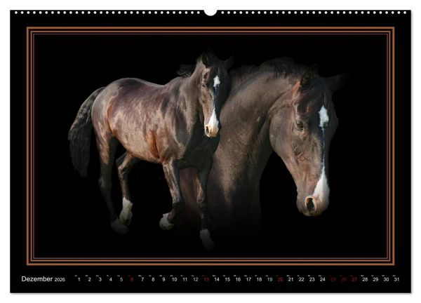 Produktbild: Traumpferde-ART-Collection (hochwertiger Premium Wandkalender 2026 DIN A2 quer), Kunstdruck in Hochglanz