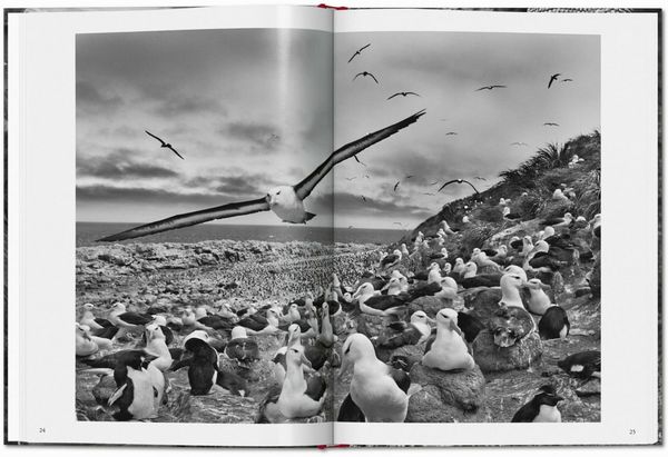 Produktbild: Sebasti&atilde;o Salgado. G&eacute;nesis