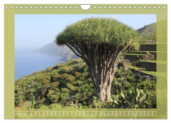 Produktbild: Wundersame Kanarenflora (Wandkalender 2027 DIN A4 quer), CALVENDO Monatskalender