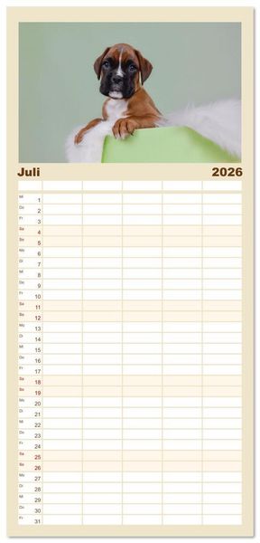 Produktbild: Familienplaner 2026 - Boxer Welpen einfach zuckers&uuml;&szlig; mit 5 Spalten (Wandkalender, 21 x 45 cm) CALVENDO