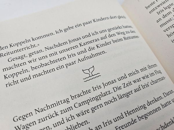 Produktbild: A Glimpse of Northern Lights
