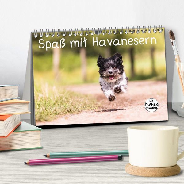 Produktbild: Spa&szlig; mit Havanesern (Tischkalender 2026 DIN A5 quer), CALVENDO Monatskalender