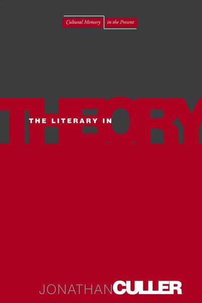 Produktbild: The Literary in Theory