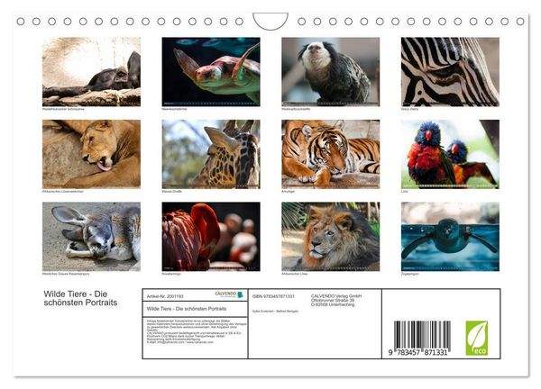 Produktbild: Wilde Tiere - Die sch&ouml;nsten Portraits (Wandkalender 2026 DIN A4 quer), CALVENDO Monatskalender
