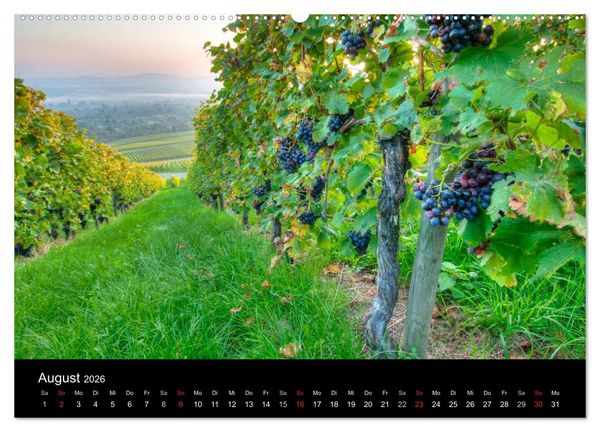 Produktbild: Weinberge im Remstal (Wandkalender 2026 DIN A2 quer), CALVENDO Monatskalender