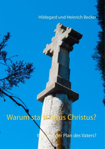 Produktbild: Warum starb Jesus Christus?
