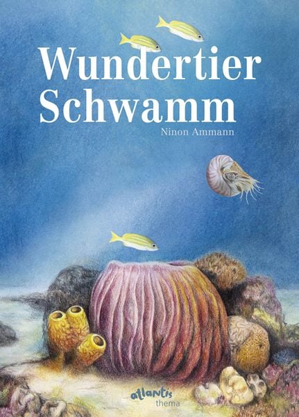 Produktbild: Wundertier Schwamm