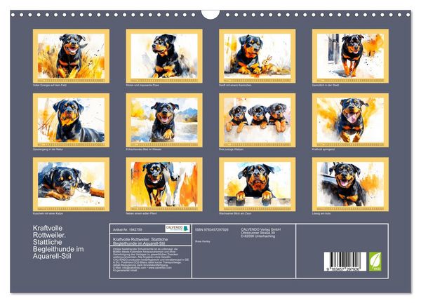 Produktbild: Kraftvolle Rottweiler. Stattliche Begleithunde im Aquarell-Stil (Wandkalender 2026 DIN A3 quer), CALVENDO Monatskalender