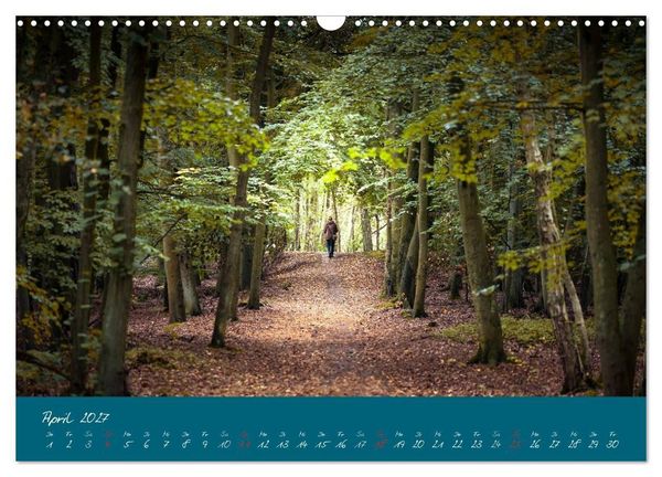 Produktbild: Blick auf die Halbinsel Fischland, Dar&szlig; und Zingst (Wandkalender 2027 DIN A3 quer), CALVENDO Monatskalender