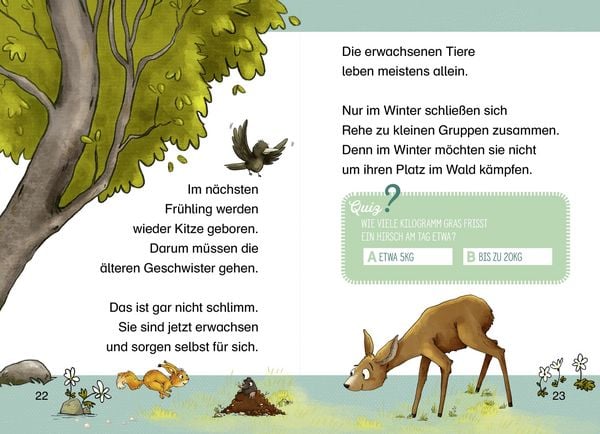Produktbild: Komm mit uns in den Wald