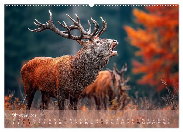 Produktbild: Jagd und Natur - Kalender f&uuml;r J&auml;ger mit Wildtieren Deutschlands im Jahreslauf (hochwertiger Premium Wandkalender 2026 DIN A2 quer), Kunstdruck in Hochglanz