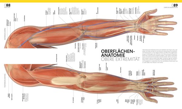 Produktbild: Anatomie und Physiologie