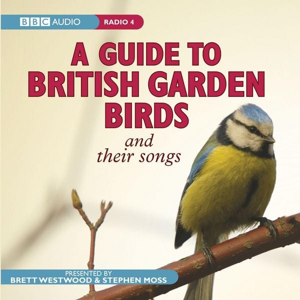 Produktbild: A Guide to British Garden Birds: And Their Songs