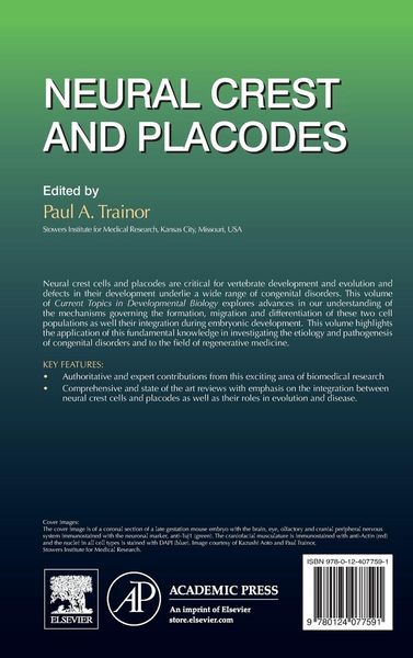 Produktbild: Neural Crest and Placodes