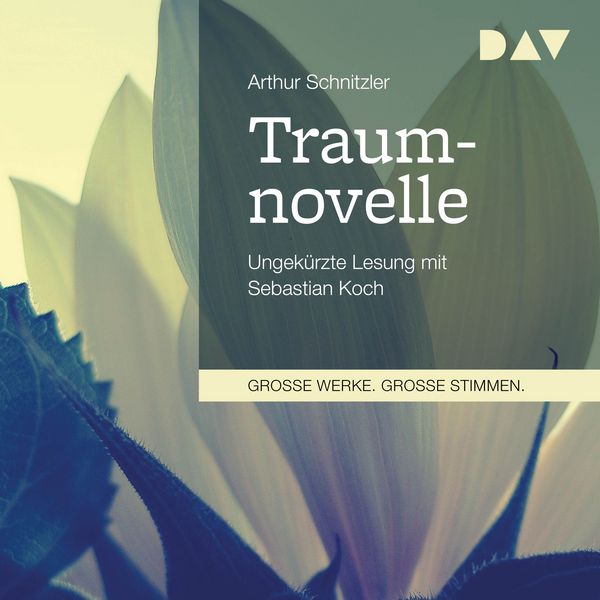 Produktbild: Traumnovelle