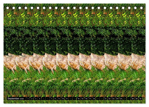 Produktbild: Magische Bilder - 3D Stereogramme (Tischkalender 2026 DIN A5 quer), CALVENDO Monatskalender