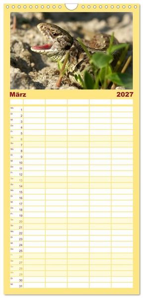 Produktbild: Familienplaner 2027 - Minisaurier im Garten mit 5 Spalten (Wandkalender, 21 x 45 cm) CALVENDO