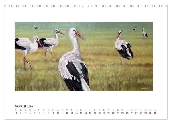Produktbild: Auf leichten Schwingen - Zugv&ouml;gel (Wandkalender 2026 DIN A3 quer), CALVENDO Monatskalender