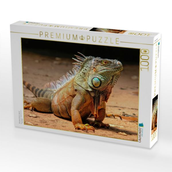 Produktbild: CALVENDO Puzzle Wundersch&ouml;ner Leguan | 1000 Teile Lege-Gr&ouml;&szlig;e 64x48cm Foto-Puzzle f&uuml;r gl&uuml;ckliche Stunden