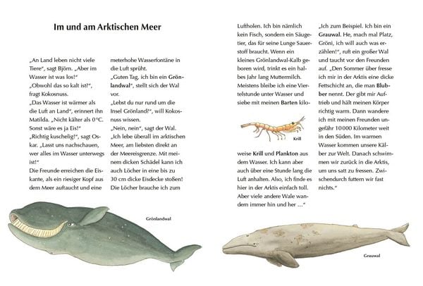 Produktbild: Alles klar! Der kleine Drache Kokosnuss erforscht das ewige Eis