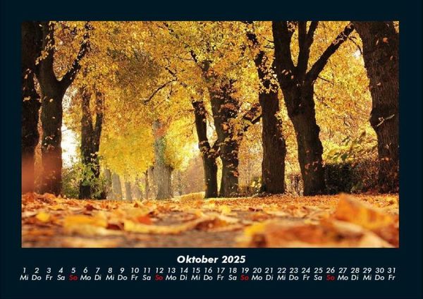 Produktbild: B&auml;ume 2025 Fotokalender DIN A4