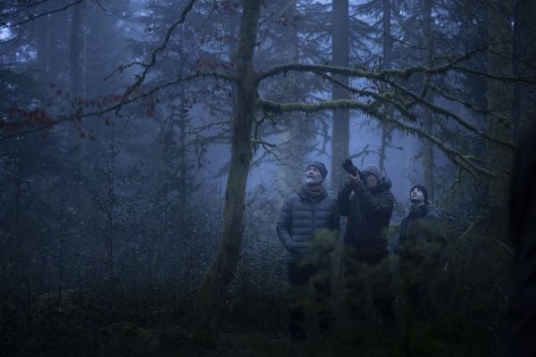 Produktbild: Das Fl&uuml;stern der W&auml;lder