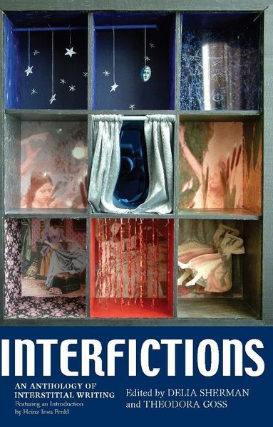 Produktbild: Interfictions