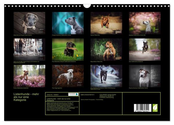 Produktbild: Listenhunde - mehr als nur eine Kategorie (Wandkalender 2026 DIN A3 quer), CALVENDO Monatskalender