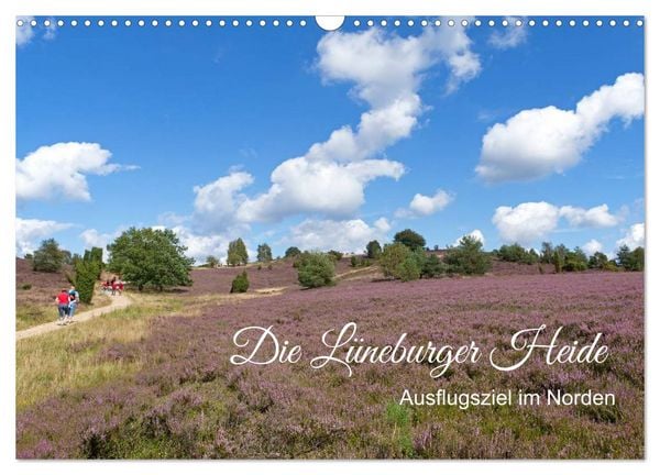 Produktbild: Die L&uuml;neburger Heide - Ausflugsziel im Norden (Wandkalender 2026 DIN A3 quer), CALVENDO Monatskalender