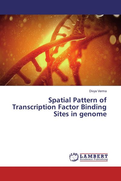 Produktbild: Spatial Pattern of Transcription Factor Binding Sites in genome