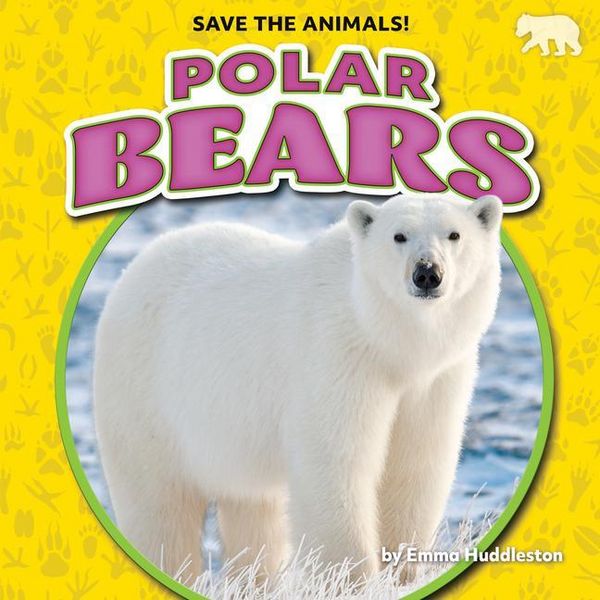 Produktbild: Polar Bears