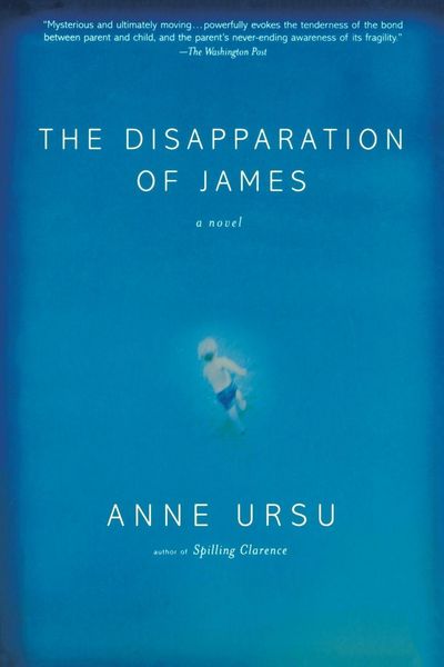Produktbild: The Disapparation of James